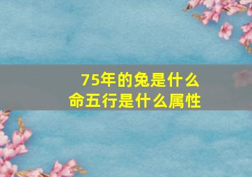 75年的兔是什么命五行是什么属性