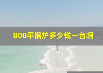 800平锅炉多少钱一台啊