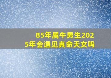 85年属牛男生2025年会遇见真命天女吗