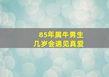 85年属牛男生几岁会遇见真爱