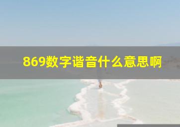 869数字谐音什么意思啊