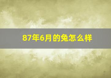 87年6月的兔怎么样