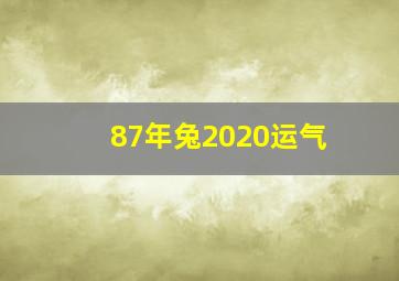 87年兔2020运气