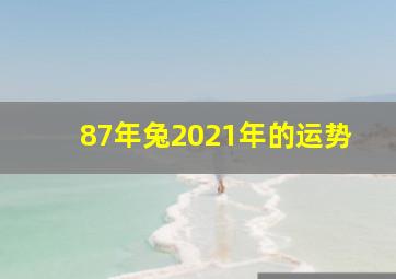 87年兔2021年的运势