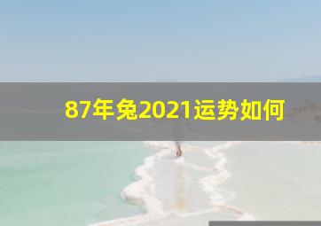 87年兔2021运势如何