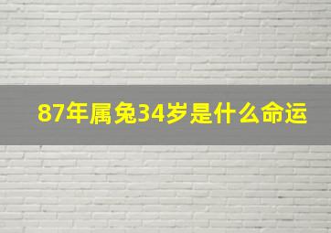 87年属兔34岁是什么命运