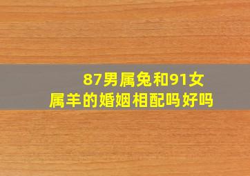 87男属兔和91女属羊的婚姻相配吗好吗