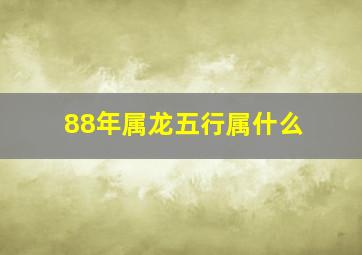 88年属龙五行属什么