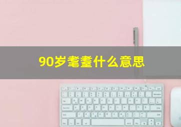 90岁耄耋什么意思