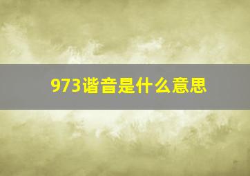 973谐音是什么意思