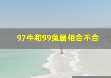 97牛和99兔属相合不合