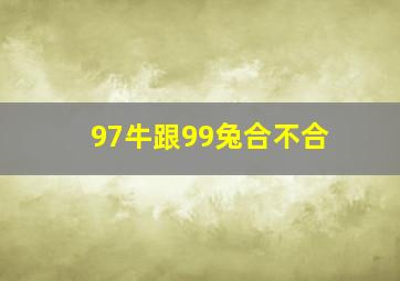 97牛跟99兔合不合