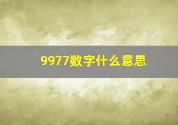 9977数字什么意思