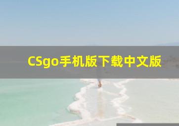 CSgo手机版下载中文版