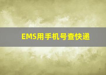 EMS用手机号查快递