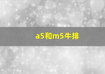 a5和m5牛排