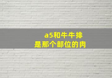 a5和牛牛排是那个部位的肉