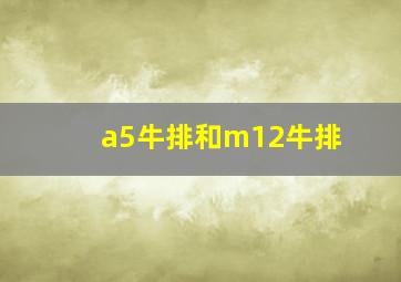 a5牛排和m12牛排