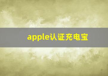 apple认证充电宝