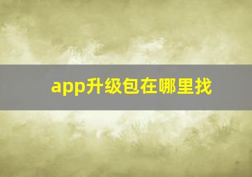 app升级包在哪里找