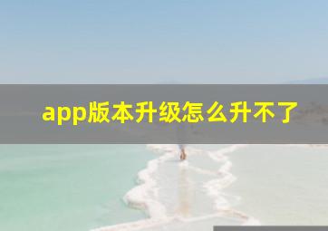 app版本升级怎么升不了