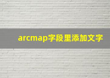 arcmap字段里添加文字