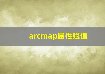 arcmap属性赋值