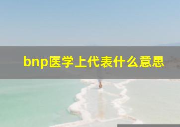 bnp医学上代表什么意思