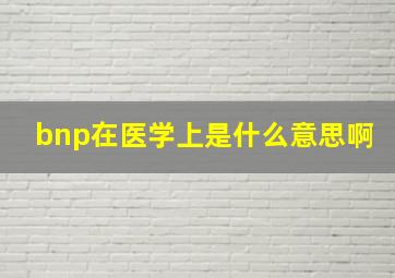 bnp在医学上是什么意思啊