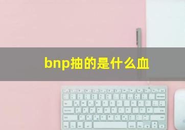 bnp抽的是什么血