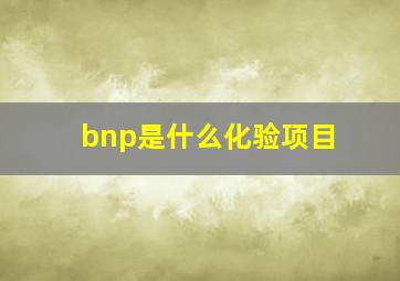 bnp是什么化验项目