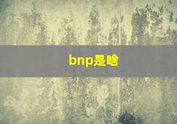 bnp是啥