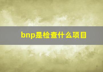 bnp是检查什么项目