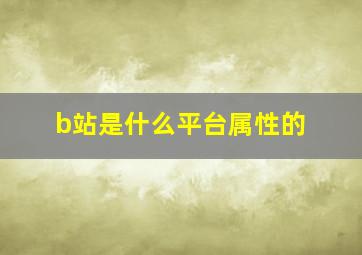 b站是什么平台属性的