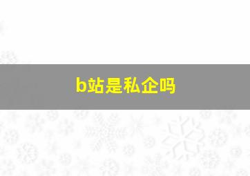 b站是私企吗