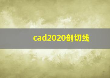 cad2020剖切线