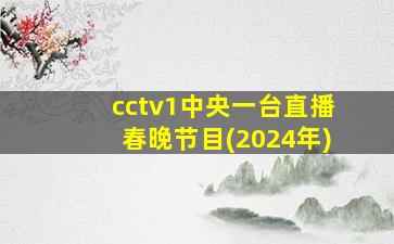 cctv1中央一台直播春晚节目(2024年)