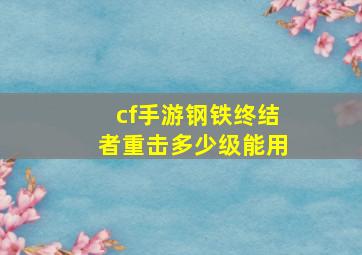 cf手游钢铁终结者重击多少级能用