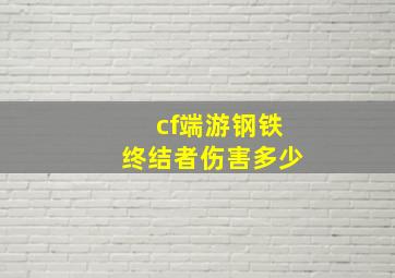 cf端游钢铁终结者伤害多少