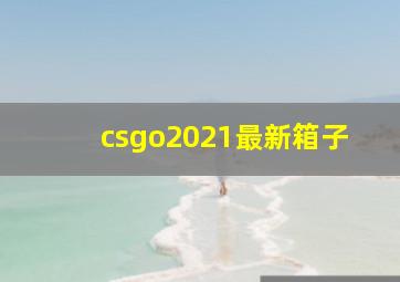 csgo2021最新箱子