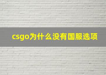 csgo为什么没有国服选项