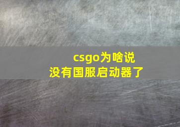 csgo为啥说没有国服启动器了