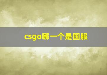 csgo哪一个是国服