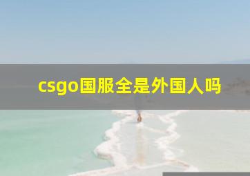 csgo国服全是外国人吗