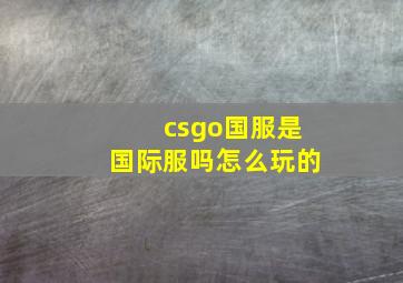 csgo国服是国际服吗怎么玩的