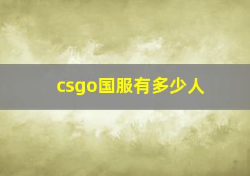 csgo国服有多少人