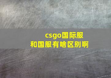 csgo国际服和国服有啥区别啊