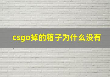 csgo掉的箱子为什么没有