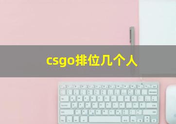 csgo排位几个人