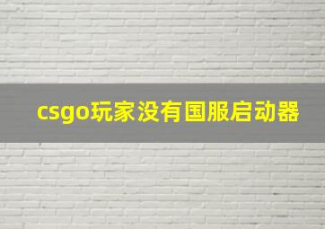 csgo玩家没有国服启动器